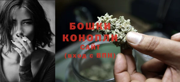 сатива Горно-Алтайск