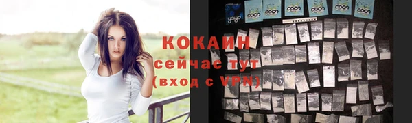 сатива Горно-Алтайск