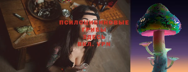 мдпв Вязники