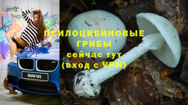 мдпв Вязники