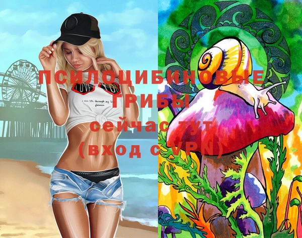 мдпв Вязники