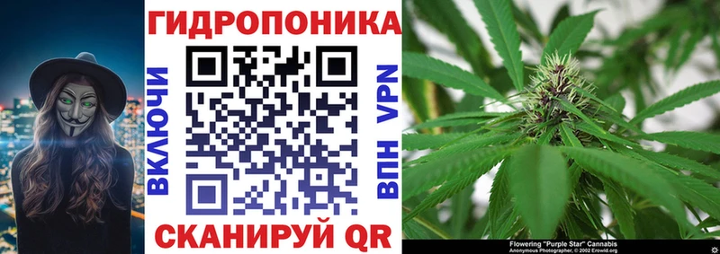 МЕГА ONION  Калининец  Бошки марихуана конопля 